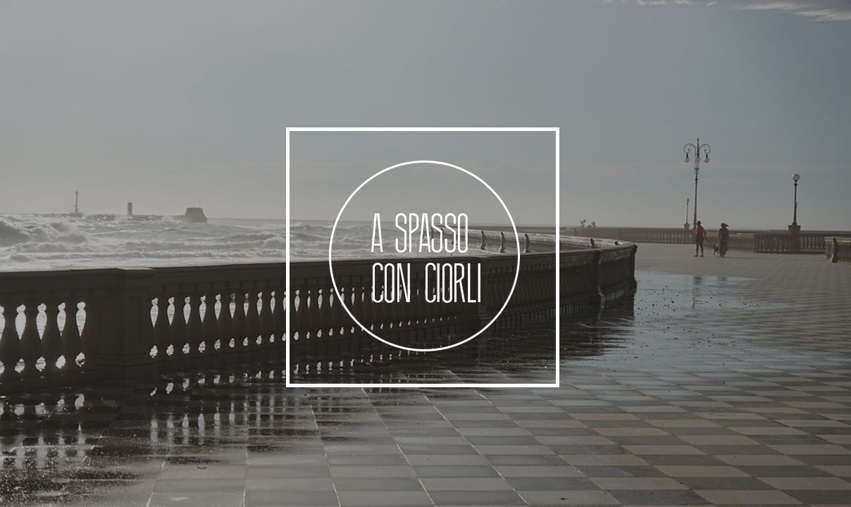 LA TERRA DELL'ACQUA E DEL FUOCO