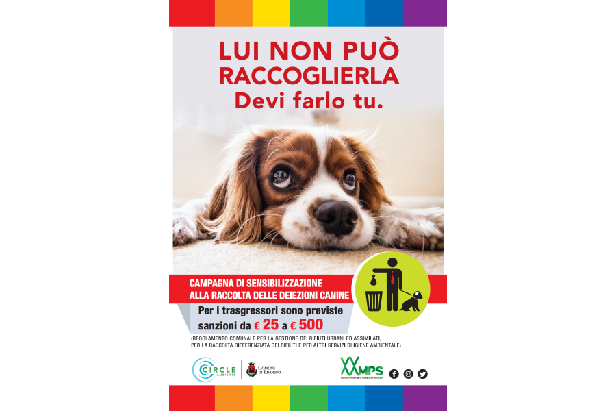 Abbandono delle deiezioni canine, in campo Aamps e studenti