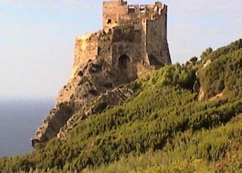 Gorgona, progetti innovativi e improntati sulla sostenibilità ambientale