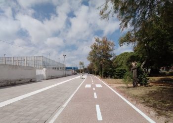 La Confcommercio interviene sulla questione del Viale Italia