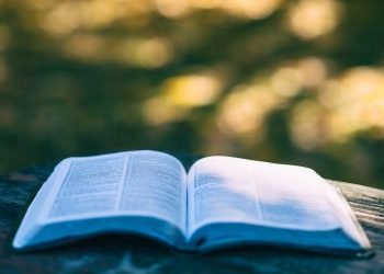 Firmata la convenzione alle “Sughere” per l’arrivo di libri in lingua araba