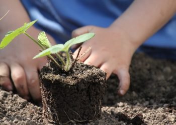 Undicesima edizione del “Mercato Contadino dell’Orto in Condotta”