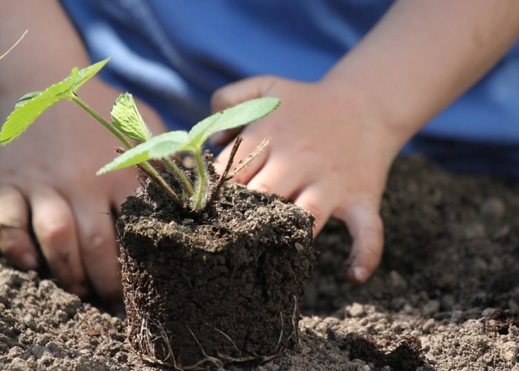 Undicesima edizione del “Mercato Contadino dell’Orto in Condotta”