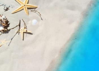 Centri estivi gratuiti per i bambini seguiti dai servizi sociali