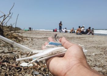 Giovedì 9 giugno pulizia della spiaggia libera di Quercianella