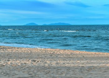 Parchi e spiagge pubbliche più pulite grazie a 4 nuovi operatori