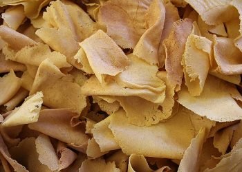 Nel quartiere di Fiorentina domenica 12 e lunedì 13 torna la Fiera di Sant’Antonino