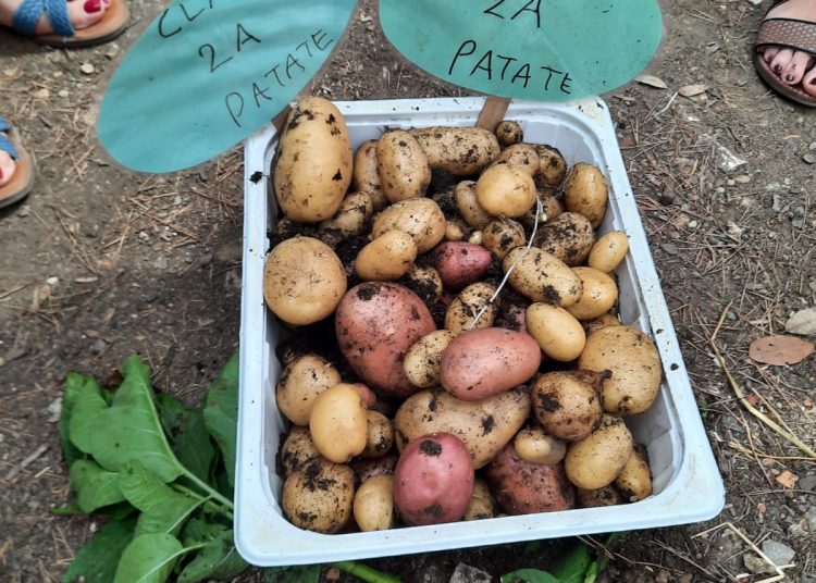 “Orto in condotta”: domani la vicesindaca Camici alle ‘Campana’