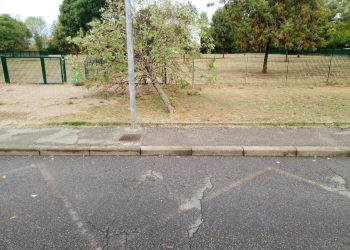 Le raffiche di vento e il temporale delle scorse ore hanno spezzato numerose alberature