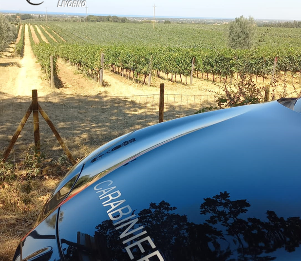 Tentata estorzione ai danni dell’azienda vinicola “Sassicaia”