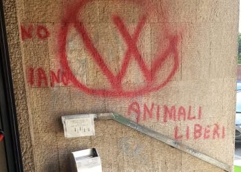 Scritte sul muro del distretto di Fiorentina, arriva la denuncia