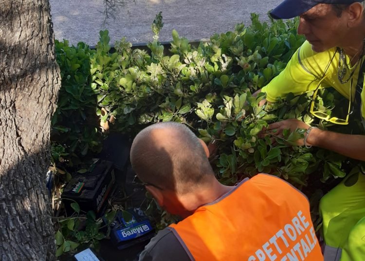 Trovate otto batterie esauste abbandonate al moletto Nazario Sauro