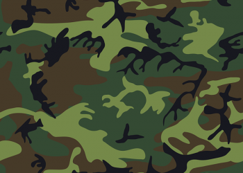 Entro venerdì 15 settembre è possibile ritirare i tesserini venatori