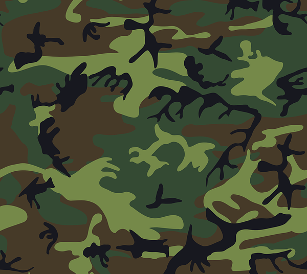 Entro venerdì 15 settembre è possibile ritirare i tesserini venatori