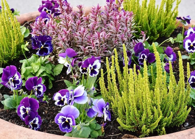 Modifiche alla viabilità in zona Villa Mimbelli per consentire lo svolgimento di Harborea