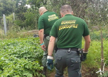 Un corso per aspiranti guardie ecozoofile