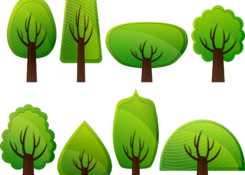 763 nuovi alberi saranno piantati sul territorio cittadino