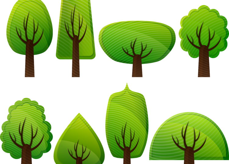 763 nuovi alberi saranno piantati sul territorio cittadino