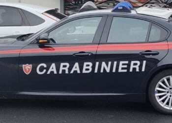 37enne fermato dai Carabinieri per furto in una palestra