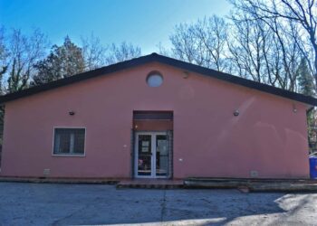 Ufficio Tutela Animale Livorno