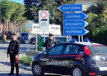 Fermato dai Carabinieri dopo aver rubato uno Smartphone