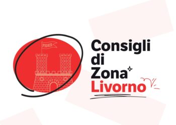 Consiglio di zona