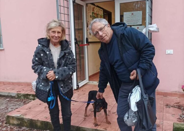 Nino e Ragù, due cani del canile comunale che hanno travato una famiglia
