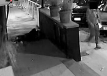 Cecina: 43enne denunciato per danneggiamenti alle fioriere