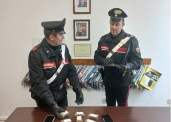 Spaccio di stupefacenti, arrestata coppia a Cecina