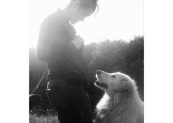 “Io posso entrare” 16 scatti di Irene Carmassi dedicati al canile municipale