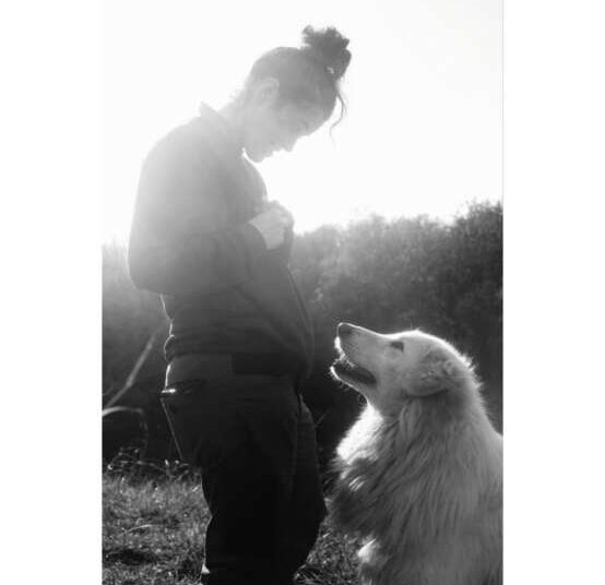 “Io posso entrare” 16 scatti di Irene Carmassi dedicati al canile municipale