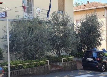 Falsi venditori di pellet smascherati dai Carabinieri