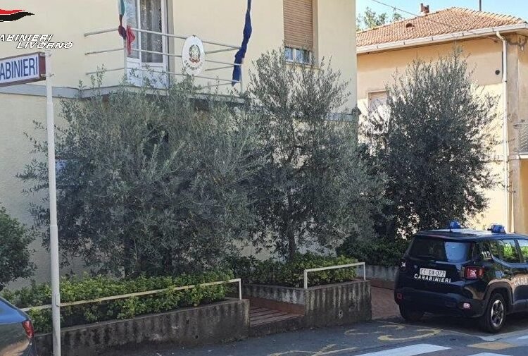 Falsi venditori di pellet smascherati dai Carabinieri