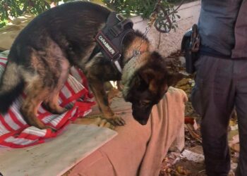 Studente di 15 anni trovato in possesso di hashish davanti alla scuola