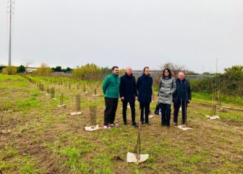 Un bosco con 1800 piante al Parco Levante