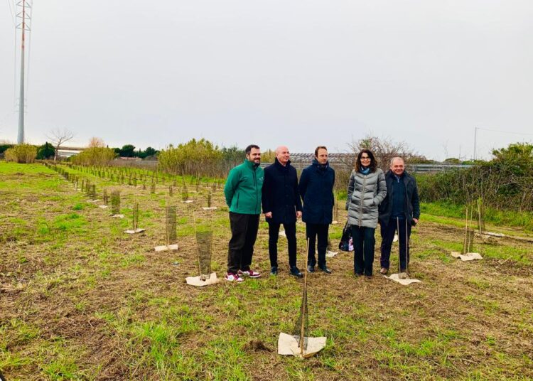 Un bosco con 1800 piante al Parco Levante