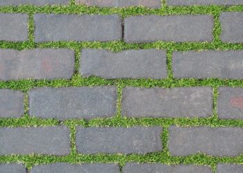 Via Pacinotti: da lunedì 16 gennaio ripartono i lavori