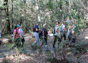 Herbis Trekking nei boschi di Ribarbella domenica 29 gennaio