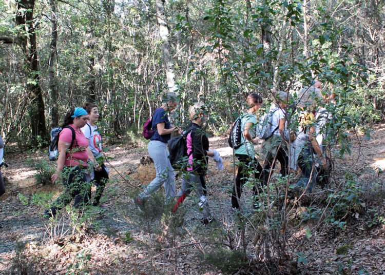 Herbis Trekking nei boschi di Ribarbella domenica 29 gennaio