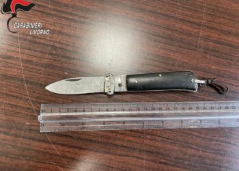 Coltello a serramanico sul furgone, denunciato 38enne