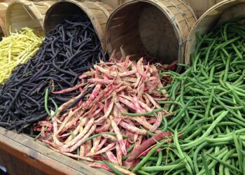 Menù di legumi domani 10 febbraio nelle mense scolastiche