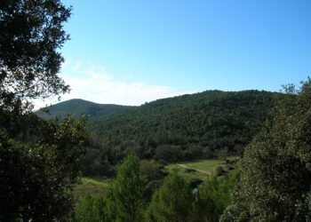 Sanzionato 57enne dalla Forestale per transito su area boschiva con la moto