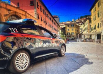 66enne guidava l’auto con la patente scaduta da 12 anni