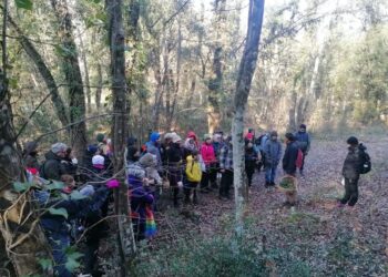 Herbis Trekking, torna domenica 26 febbraio nei boschi di Riparbella
