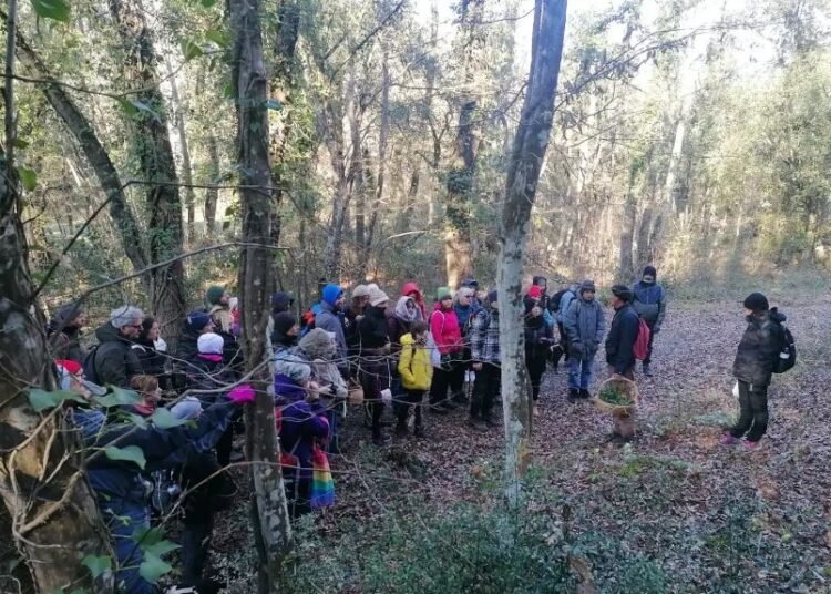 Herbis Trekking, torna domenica 26 febbraio nei boschi di Riparbella