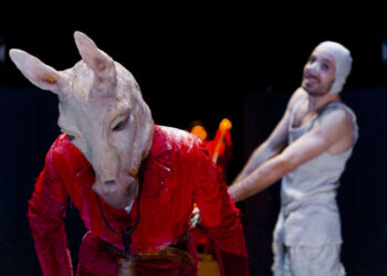 “Pinocchio del Teatro del Carretto” va in scena domani 23 febbraio al Goldoni