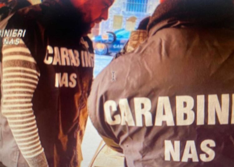 50 kg di alimenti sequestrati dai NAS a Collesalvetti