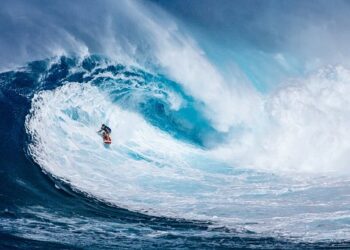 Hoasy: il futuro dei dipendenti del negozio al centro del dibattito tra istituzioni e proprietà