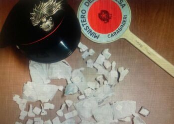 Inseguito e fermato 22enne nel bosco con 97 dosi di cocaina