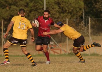 Lundax Lions Amaranto: al Priami passa il Bologna